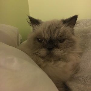 Meet your Posher, Natalia